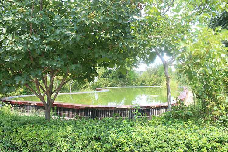 半岛体育·半岛官方站网站在线-PeninSula体育网(中国)机械厂区环境优美